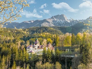 Blick auf die Gesäuse Berge