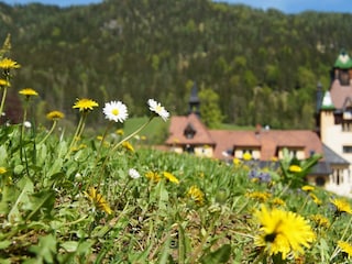 Natur ganz Nah