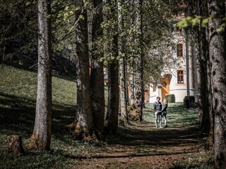 Spaziergänge