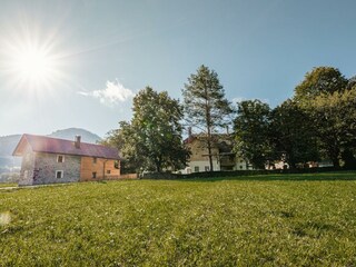 Die grünen Wiesen rund um den Hof