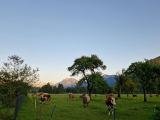 Blick zum Gesäuse