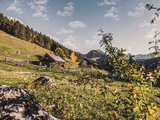Wandern auf der nahen Ardning Alm