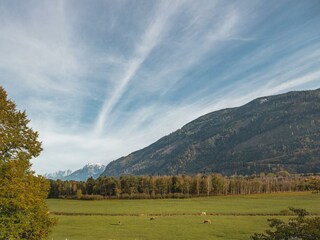 Ausblick ins nahe Pürgschachen Moor