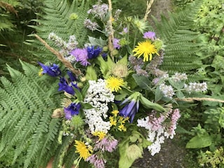 Waldblumenstrauß