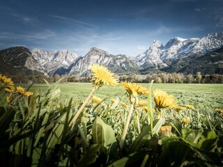 Gesäuseberge