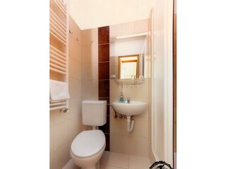 IMG_2445A_Black sheeps