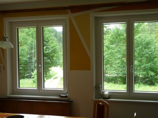 Blick durch die Küchenfenster