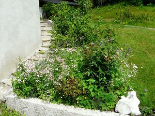 Blumengarten