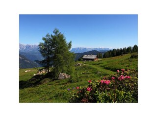 Saukaralm - Großarl