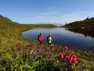 paarseen-sommer-wanderer