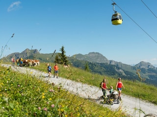 wandern-skigebiet-kinderwagenweg