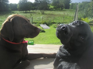 Casa per le vacanze Brodersby (Angeln) Registrazione all'aperto 8