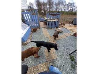 Casa de vacaciones Brodersby (Angeln) Grabación al aire libre 12