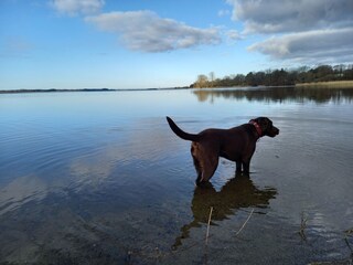 Casa de vacaciones Brodersby (Angeln) Entorno 31