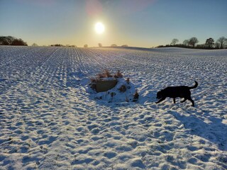 Casa per le vacanze Brodersby (Angeln) Ambiente 36