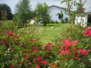 Vakantiehuis Brodersby (Angeln) Buitenaudio-opname 6