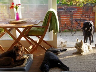 Casa de vacaciones Brodersby (Angeln) Características 19