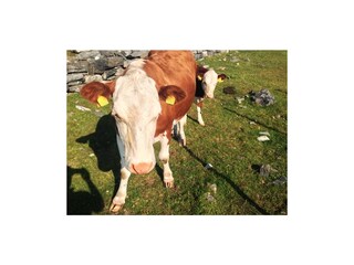 Casa per le vacanze Brodersby (Angeln) Documento 43