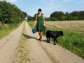 Casa per le vacanze Brodersby (Angeln) Ambiente 38