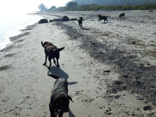 Casa per le vacanze Brodersby (Angeln) Ambiente 29