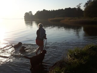 Casa de vacaciones Brodersby (Angeln) Entorno 33