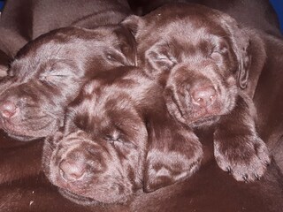 Casa de vacaciones Brodersby (Angeln) Documento 44