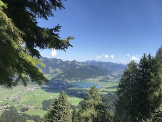IMG_0778