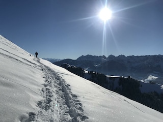 IMG_2310