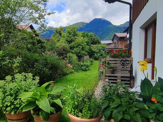 Garten in der Sommerzeit