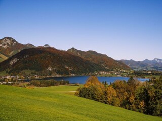 Kaiserwinkl-Urlaub-Landschaft-Walchsee-Herbst-Herb