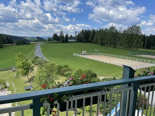Aussicht vom Balkon