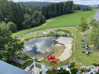 Aussicht vom Balkon Richtung Biotop