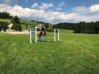 Springen auf der Wiese