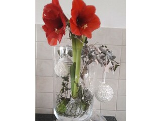 Haus Planetz - Liebe zum Detail