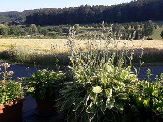 Haus Planetz - Rund um grüne Natur1