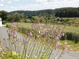 Haus Planetz - Rund um grüne Natur2