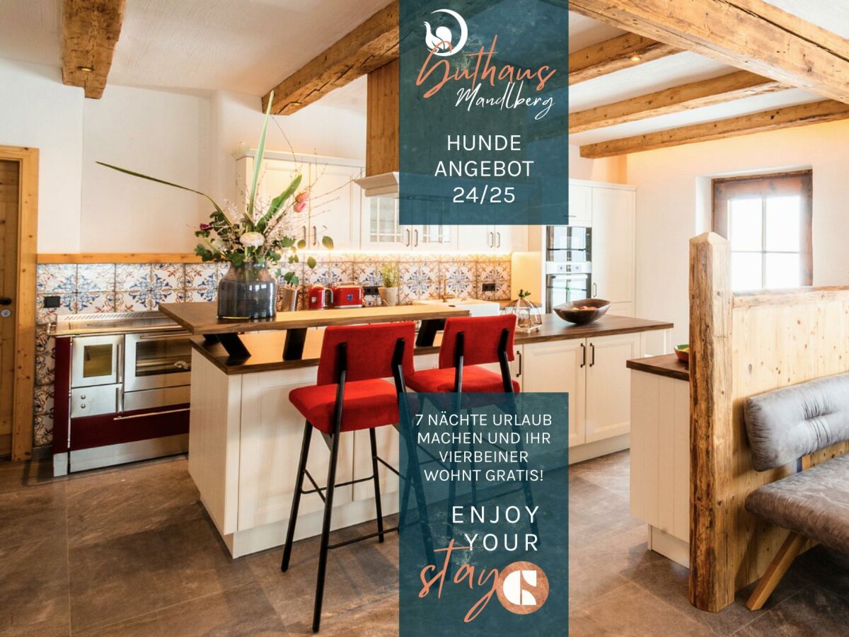 Hunde Angebot 202425 - Mandlberggut_web