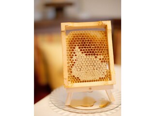 Frühstück- Honigwabe