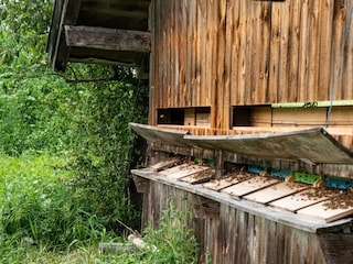 Bienenhütte