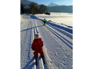 5 Minuten neben der Langlaufloipe