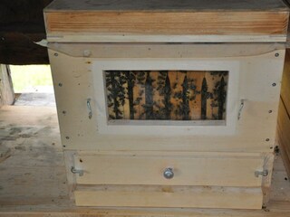 Bienen