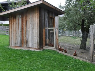 Hühnerstall