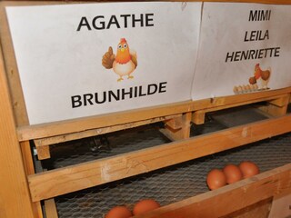 Hühnerstall