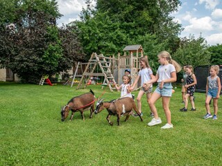 Ziegen mit Kindern