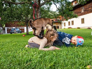 Ziege mit Kinder