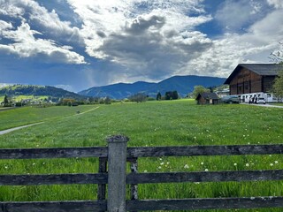 Hausfeld