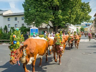 Almabtrieb