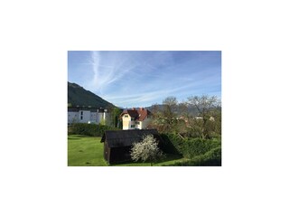 IMG_0005