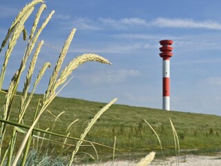 Landschaft