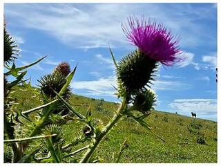 Landschaft